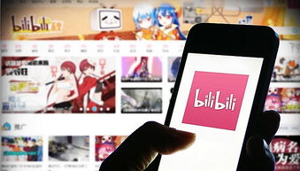 文旅部雷霆出击，严查网络低俗内容，哔哩哔哩等27家网站接受执法检查