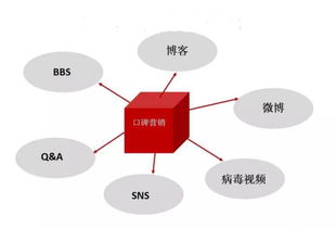 会展活动数字化运营 如何打造网络品牌IP的新范式